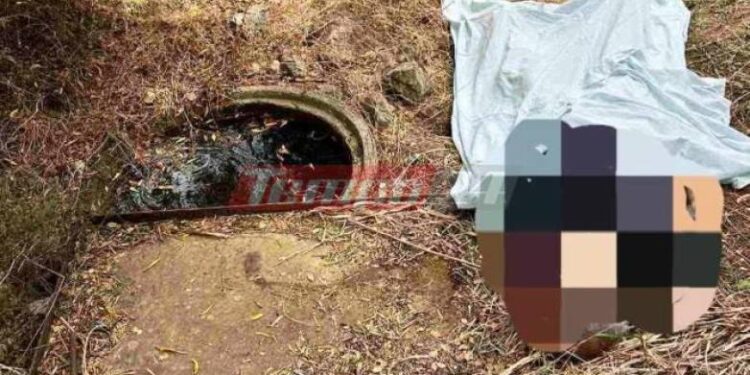 Τραγωδία στην Δυτ. Αχαΐα: Άνοιξε την πομόνα να ποτίσει και βρήκε τον πατέρα του νεκρό! (ΦΩΤΟ)
