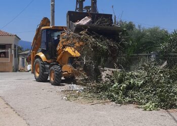 Άνω Αλισσός: Όλο το χωριό είναι καθαρό!