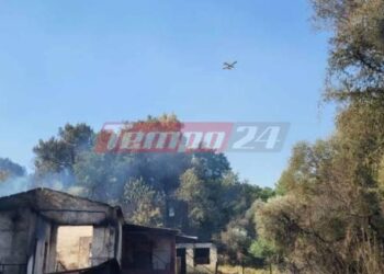 Αίτημα του Δήμου Ερυμάνθου να κηρυχθεί η περιοχή σε κατάσταση έκτακτης ανάγκης – Ανυπολόγιστες οι ζημιές από τη μανία της φωτιάς
