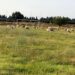 Δυτική Αχαΐα: Διαμαρτυρία της αντιπολίτευσης για την κατάσταση των γηπέδων – “Όχι μόνο φωτογραφίες και μπουγελοσυναυλίες” – ΦΩΤΟ
