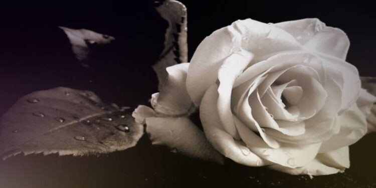 Κάτω Αχαΐα: “Εφυγε” από τη ζωή η Αγγελική Κανελλοπούλου