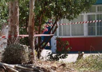 Πατέρας 2 παιδιών ο 47χρονος εργαζόμενος του δήμου που σκοτώθηκε στου Παπάγου – Έπεσε από τον κορμό και τον καταπλάκωσε το δέντρο