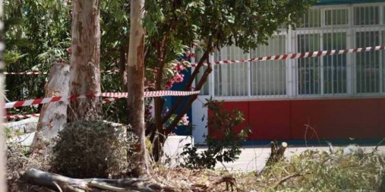 Πατέρας 2 παιδιών ο 47χρονος εργαζόμενος του δήμου που σκοτώθηκε στου Παπάγου – Έπεσε από τον κορμό και τον καταπλάκωσε το δέντρο