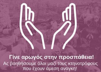 Δίπλα στους πολίτες του Δήμου Ερυμάνθου που δοκιμάζονται από την καταστροφική πυρκαγιά ο Δήμος Δυτικής Αχαΐας