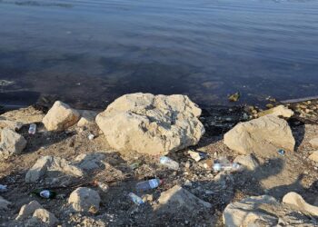 Αλυκές: “Όχι σκουπίδια, όχι πλαστικά σε θάλασσες και ακτές…” – Ποιοι ενδιαφέρονται για τον τόπο τους ασχέτως αν εκλέγονται