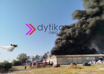 Αχαΐα: Πυρκαγιά στο Γομοστό – Επιχειρεί ισχυρή δύναμη της Πυροσβεστικής (ΦΩΤΟ-ΒΙΝΤΕΟ)