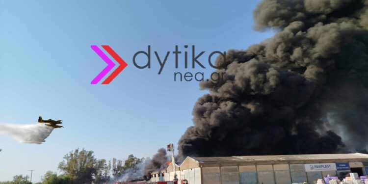 Αχαΐα: Πυρκαγιά στο Γομοστό – Επιχειρεί ισχυρή δύναμη της Πυροσβεστικής (ΦΩΤΟ-ΒΙΝΤΕΟ)