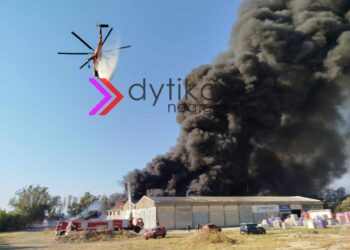 Αχαΐα: Πυρκαγιά στο Γομοστό – Επιχειρεί ισχυρή δύναμη της Πυροσβεστικής (ΦΩΤΟ-ΒΙΝΤΕΟ)