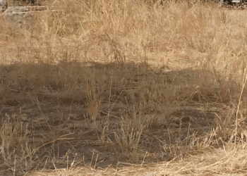 Παραμένουν τα προβλήματα στο Λάππα – ΦΩΤΟ