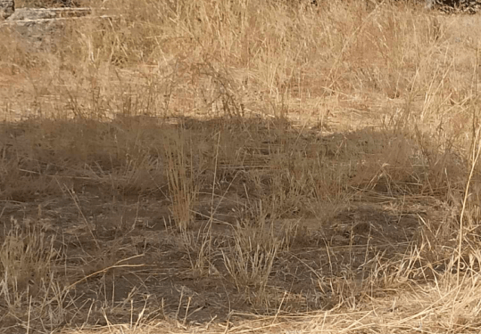 Παραμένουν τα προβλήματα στο Λάππα – ΦΩΤΟ