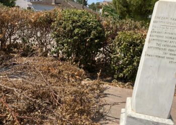 Λάππα: “Χάθηκε” η πλατειούλα από χορτάρια και σκουπίδια