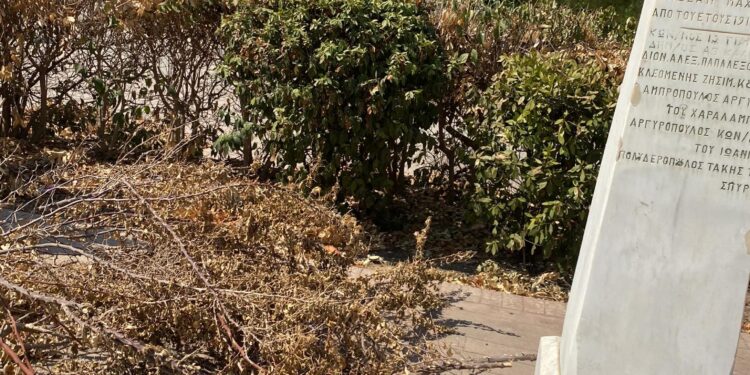 Λάππα: “Χάθηκε” η πλατειούλα από χορτάρια και σκουπίδια