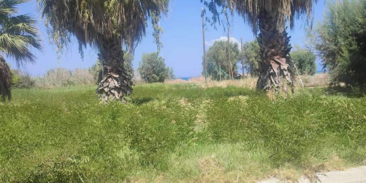 Σύλλογος Αλισσαίων “Πείρος”: “Με δικά μας έξοδα καθαρίζουμε την πλατεία” – Αίτημα στον Δήμο