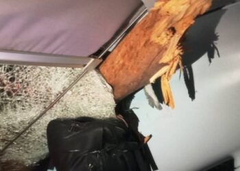 Από θαύμα γλίτωσε ο μηχανοδηγός του τρένου στις Αφίδνες – Το δέντρο μπήκε στην καμπίνα του (ΦΩΤΟ)