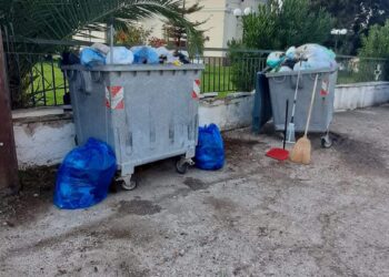 Ελ. Μπεζεριάνου: “Σκουπίδια – Κίνδυνος για τη δημόσια υγεία” – Πολύ σοβαρό το πρόβλημα στον Άνω Αλισσό – ΦΩΤΟ