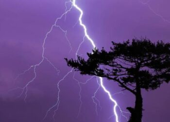 Κεραυνός σκότωσε 150 ζώα σε κτηνοτροφική μονάδα της Δυτ. Ελλάδας