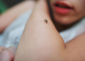 Ιός του Δυτικού Νείλου: 17 βαριά κρούσματα στη Δυτ. Ελλάδα – Μέχρι το Δεκέμβριο η …μάχη με τα κουνούπια