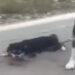 Σύλληψη ιερέα για κακοποίηση ζώων – Έσερνε δύο σκυλιά με το αυτοκίνητό του