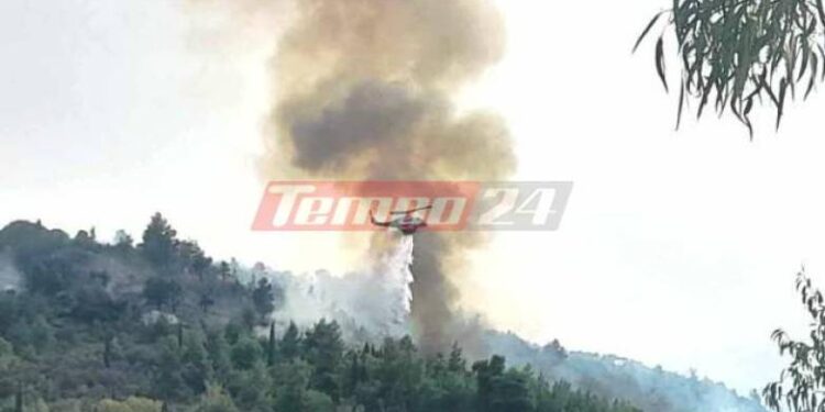 Κορινθία: Διάσπαρτες εστίες φωτιάς αντιμετωπίζουν οι πυροσβεστικές δυνάμεις στο Ξυλόκαστρο