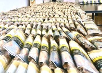 ΑΑΔΕ: «Πλημμύρισαν» τα τελωνεία ευρώ, δολάρια, ρούβλια και… καπνό – Τι κατασχέθηκε στην Πάτρα