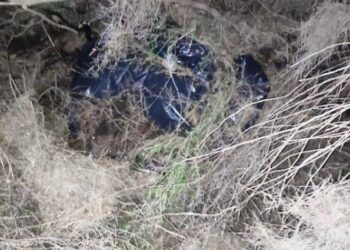 Αχαΐα: Καβάντζωνε το χασίς στο δάσος της Στροφυλιάς! Αστυνομική επιχείρηση και σύλληψη 45χρονου (ΦΩΤΟ)