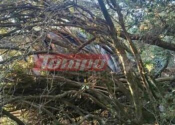 Τύχη βουνό είχε οδηγός που εγκλωβίστηκε μέσα στο όχημά του σε ερημική περιοχή! Τον βρήκαν κυνηγοί δύο ημέρες μετά το τροχαίο – ΦΩΤΟΓΡΑΦΙΕΣ