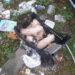 Κάτω Αχαΐα: Πεταμένα κουτάβια μέσα στη βροχή… Έκκληση για βοήθεια μέχρι να δοθούν για υιοθεσία – ΦΩΤΟ