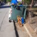 Χάος με τα σκουπίδια και στον Άνω Αλισσό – Ελ. Μπεζεριάνου: “Η υπομονή τελείωσε… η απελπισία στο Ζενίθ”