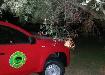 ΣΕΔΙΠ: Φωτιά στο δρόμο που συνδέει τη Κάτω Αχαΐα με τα Νιφορέικα