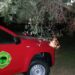 ΣΕΔΙΠ: Φωτιά στο δρόμο που συνδέει τη Κάτω Αχαΐα με τα Νιφορέικα