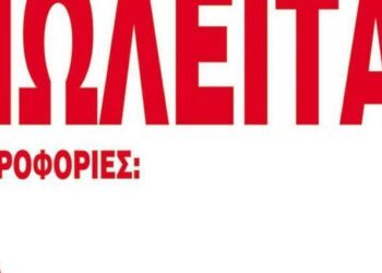 Αχαΐα: Πωλούνται αγροτεμάχια με ελιές