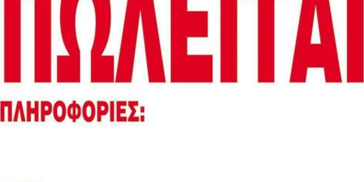 Αχαΐα: Πωλούνται αγροτεμάχια με ελιές