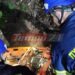 Αχαΐα: Νεκρός ανασύρθηκε ένας άνδρας από χαράδρα – Σε εξέλιξη οι έρευνες της αστυνομίας