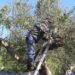 Στο Πανεπιστημιακό Νοσοκομείο της Πάτρας ένας 46χρονος που έπεσε από σκάλα ενώ μάζευε ελιές