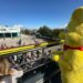 Ξεσήκωσε τους Αχαγιώτες το Carnival Bus