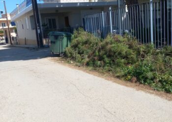 Δυτική Αχαΐα: Σοβαρό παραμένει το πρόβλημα με τα σκουπίδια – “Φωνάζουν” οι πολίτες – ΦΩΤΟ