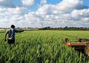 Αγρότες: Με πληρωμές άνω των 600 εκατ. ευρώ κλείνει ο Μάρτιος