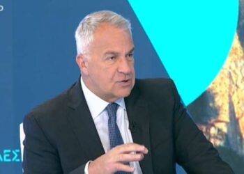 Βορίδης: Δεν υπάρχουν ενδείξεις ενοχής για τον Τριαντόπουλο