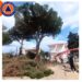 Δημοτικό Σχολείο Αλισσού: Ο δήμος κλάδεψε τα μεγάλα δέντρα – Διευκρινήσεις από τον σύλλογο γονέων