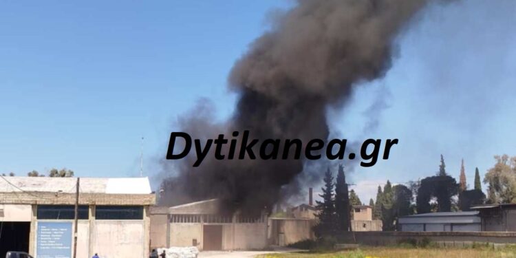 Αχαΐα – ΝΕΟΤΕΡΑ: Μήνυμα από το 112 στους κατοίκους για τους καπνούς – Φωτιά σε εργοστάσιο με πλαστικά στο Γομοστό – ΦΩΤΟ