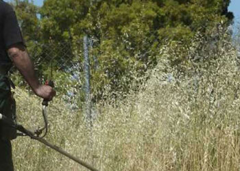 Δυτική Αχαΐα: Δεν έχετε καθαρίσει ακόμη τα οικόπεδά σας;