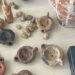 Διευθυντής δημόσιας υπηρεσίας σε μεγάλο κύκλωμα αρχαιοκαπήλων – Εντοπίστηκαν αρχαιότητες αξίας 3 εκατ. ευρώ