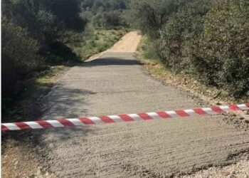 Η φωτογραφία της ημέρας