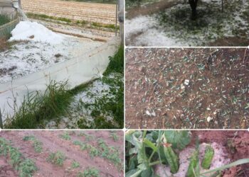 Επιστολή Αλεξόπουλου στον ΕΛΓΑ για άμεση καταγραφή των ζημιών από την χαλαζόπτωση