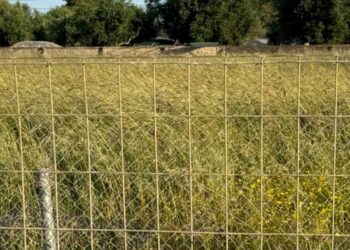 Σε κακή κατάσταση το δημοτικό γήπεδο στο Λάππα – ΦΩΤΟ, ΒΙΝΤΕΟ