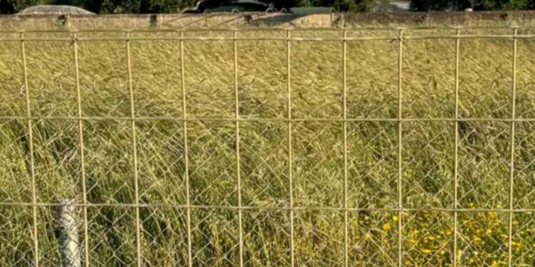 Σε κακή κατάσταση το δημοτικό γήπεδο στο Λάππα – ΦΩΤΟ, ΒΙΝΤΕΟ