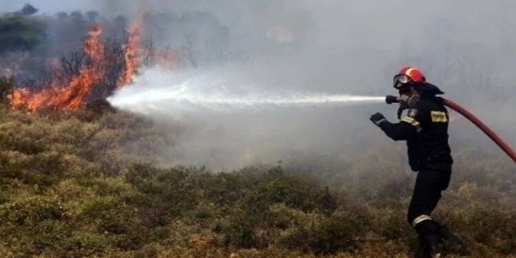 Μεγάλη φωτιά σε καταυλισμό εργατών γης στη Μανωλάδα – Aκούγονται εκρήξεις (ΦΩΤΟ)