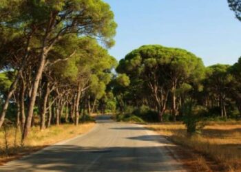 Περιφέρεια Δυτικής Ελλάδας: Που απαγορεύεται η κυκλοφορία τις ημέρες πολύ υψηλού κινδύνου πυρκαγιάς