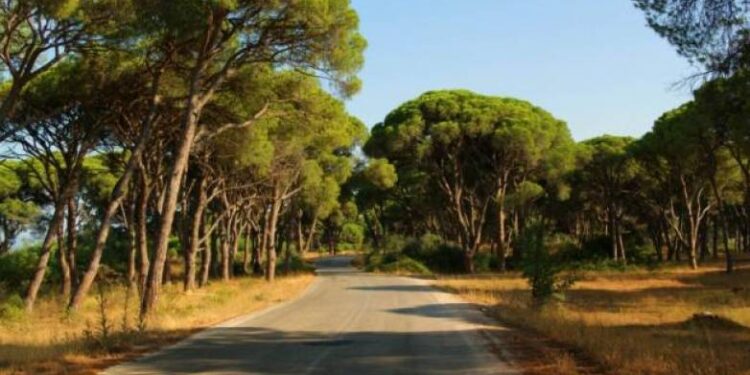 Περιφέρεια Δυτικής Ελλάδας: Που απαγορεύεται η κυκλοφορία τις ημέρες πολύ υψηλού κινδύνου πυρκαγιάς
