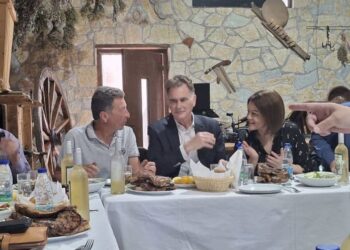 Ν. Ασκούνη και Ν. Παπανδρέου στο Χαΐκάλι – Ο χορός του Ευρωβουλευτή! ΒΙΝΤΕΟ, ΦΩΤΟ